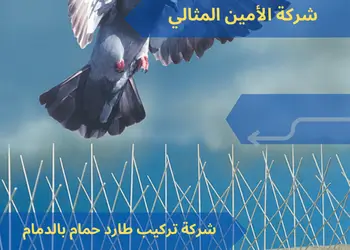 شركة تركيب طارد حمام بالدمام